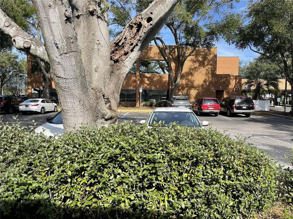 For Sale: $19,800 (0 beds, 0 baths, 12700 Square Feet)