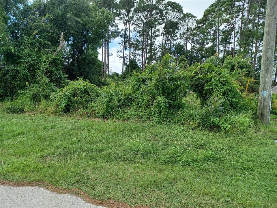 Под контрактом: $95,000 (0.36 acres)