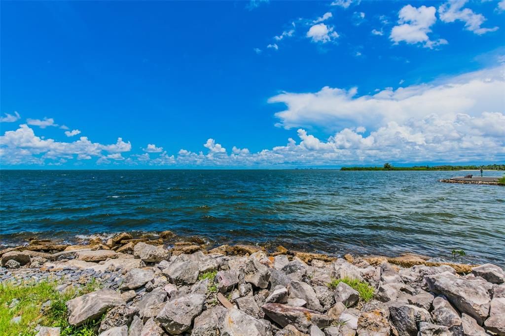 Activo con contrato: $2,300 (1 camas, 1 baños, 654 Pies cuadrados)