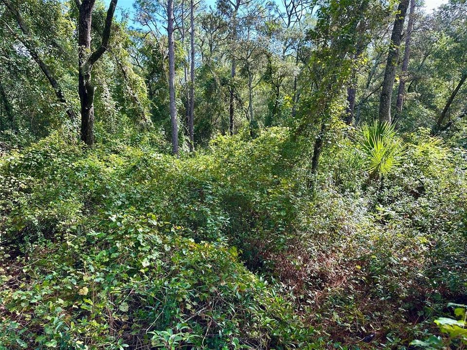 For Sale: $189,900 (0.74 acres)