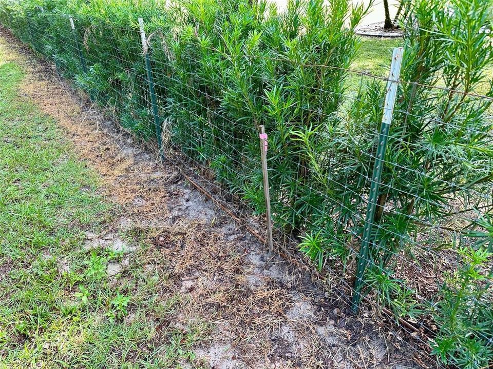 For Sale: $189,900 (0.74 acres)