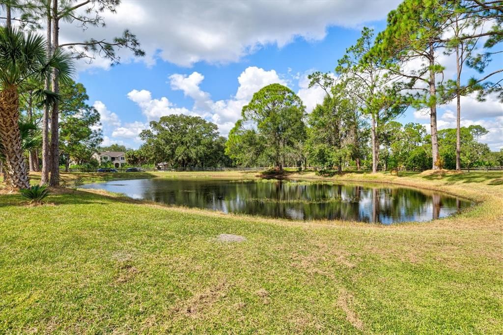 合同活跃: $1,135,000 (4 贝兹, 2 浴室, 2414 平方英尺)