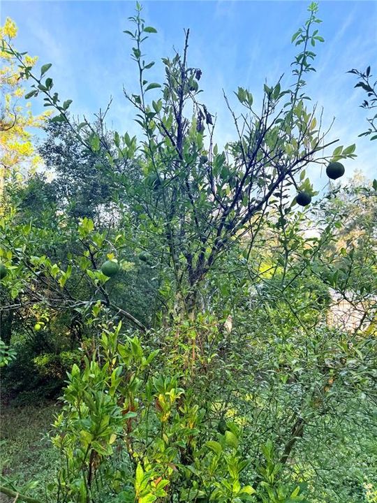 For Sale: $189,000 (3 beds, 2 baths, 1104 Square Feet)