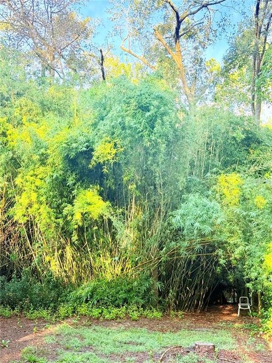 For Sale: $189,000 (3 beds, 2 baths, 1104 Square Feet)