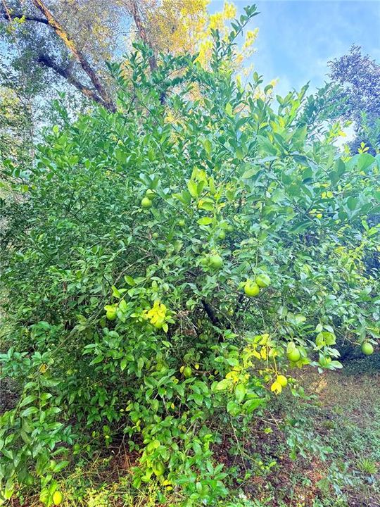 For Sale: $189,000 (3 beds, 2 baths, 1104 Square Feet)