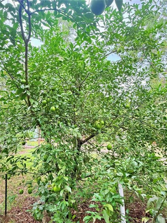 For Sale: $189,000 (3 beds, 2 baths, 1104 Square Feet)