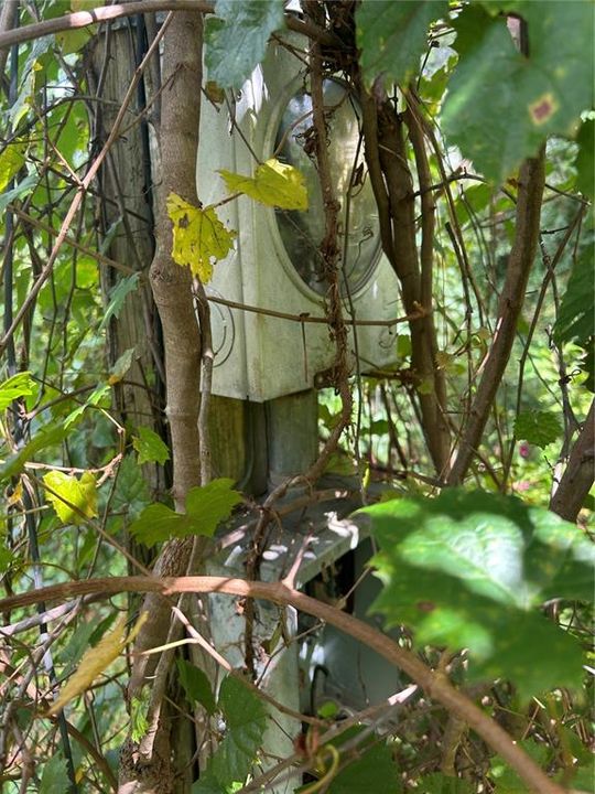 For Sale: $45,000 (0.50 acres)