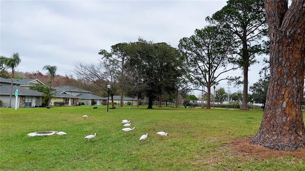 For Sale: $846,000 (8 beds, 0 baths, 4307 Square Feet)