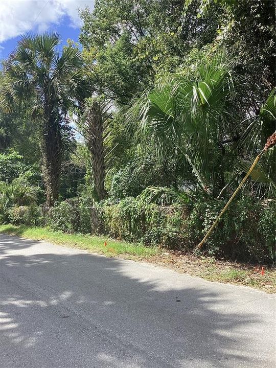 待售: $27,000 (0.30 acres)