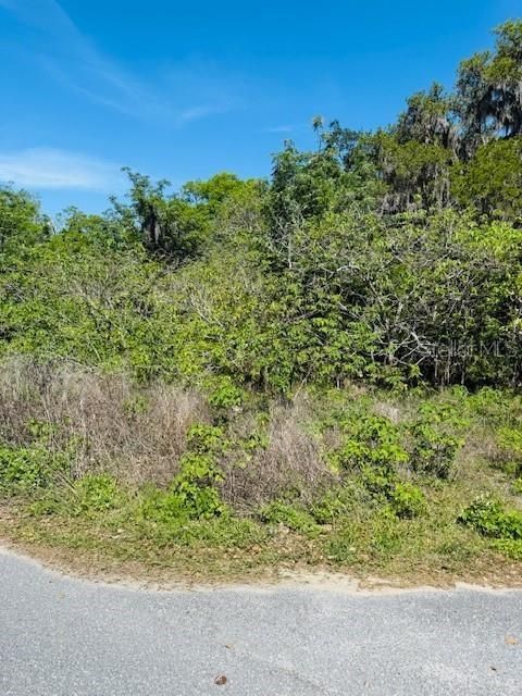 Active With Contract: $27,000 (0.22 acres)