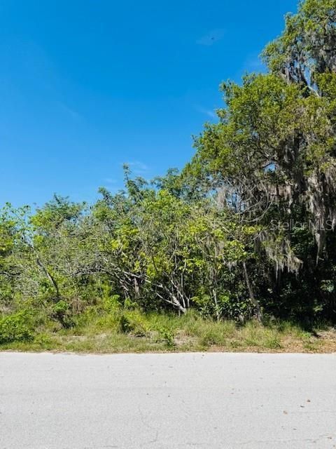 Active With Contract: $27,000 (0.22 acres)