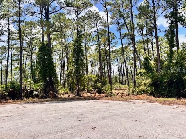 En Venta: $90,000 (1.70 acres)