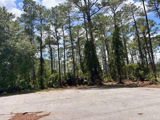 En Venta: $90,000 (1.70 acres)