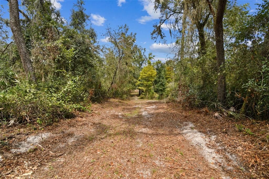 На продажу: $169,000 (3.69 acres)