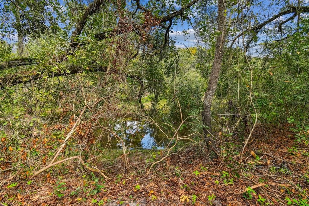 На продажу: $169,000 (3.69 acres)