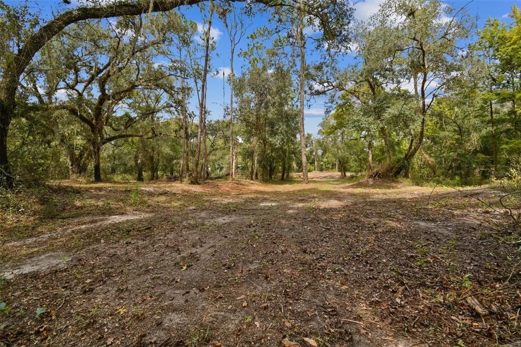 На продажу: $169,000 (3.69 acres)