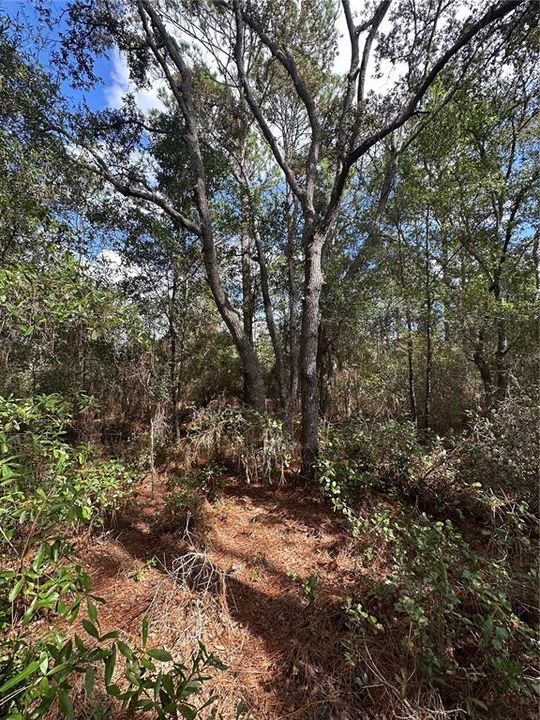 待售: $40,000 (1.05 acres)