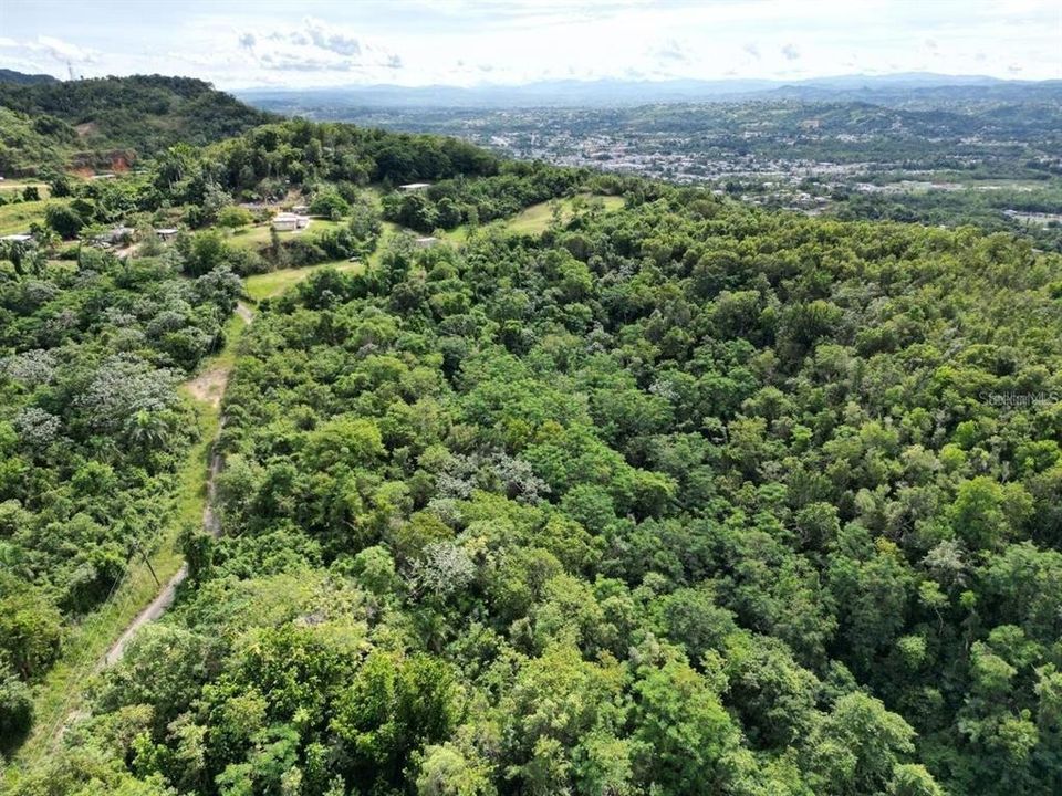 待售: $229,000 (19.50 acres)