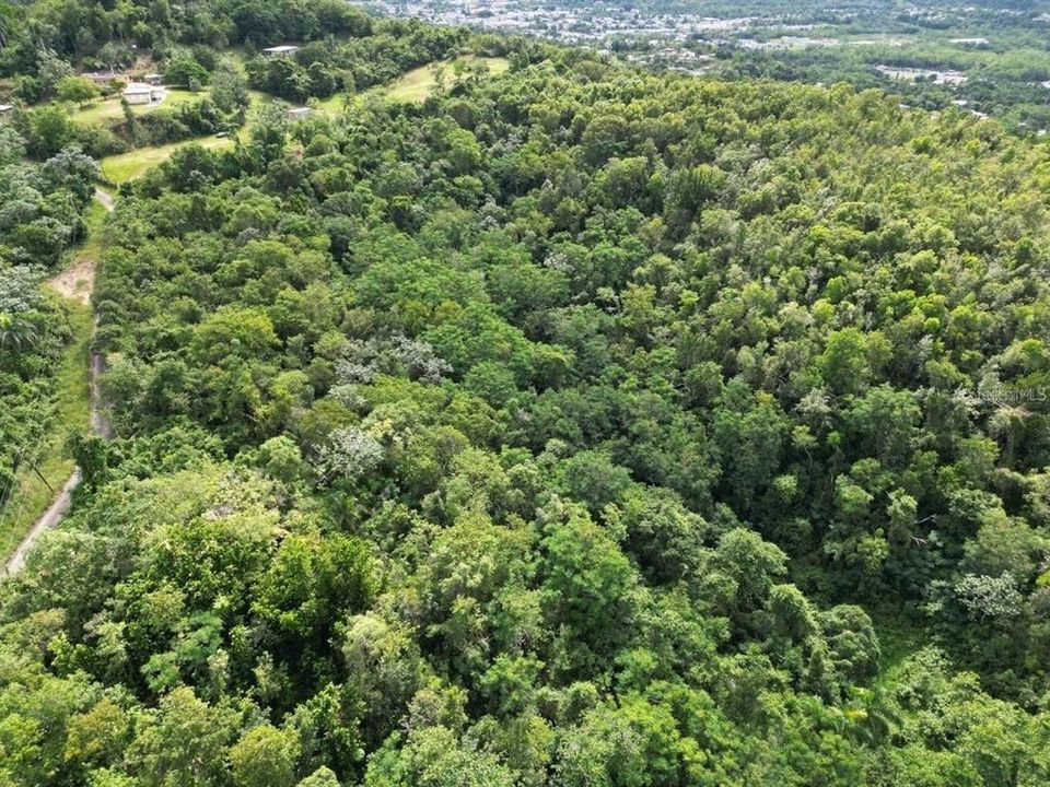 待售: $229,000 (19.50 acres)