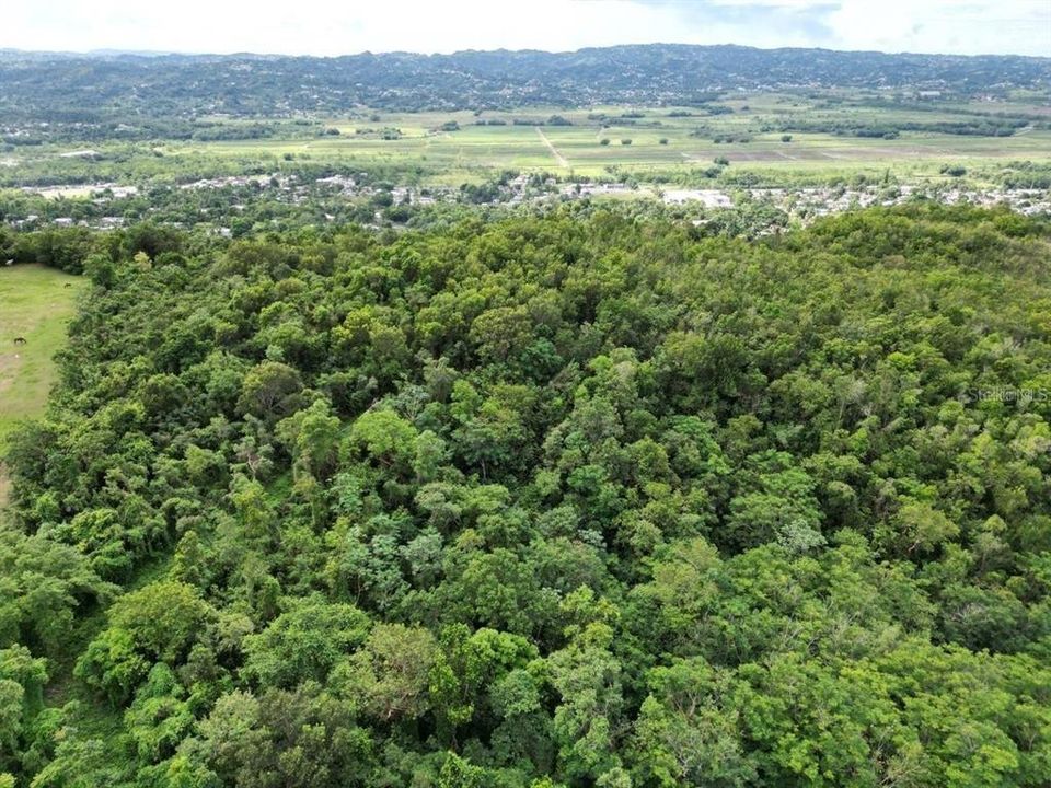 待售: $229,000 (19.50 acres)