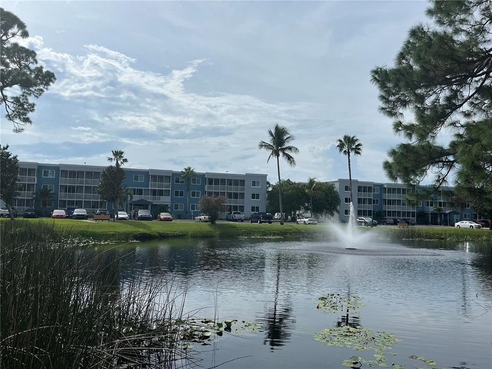 待售: $140,000 (1 贝兹, 1 浴室, 714 平方英尺)