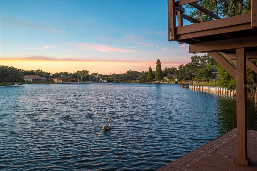 待售: $899,999 (5 贝兹, 4 浴室, 4153 平方英尺)