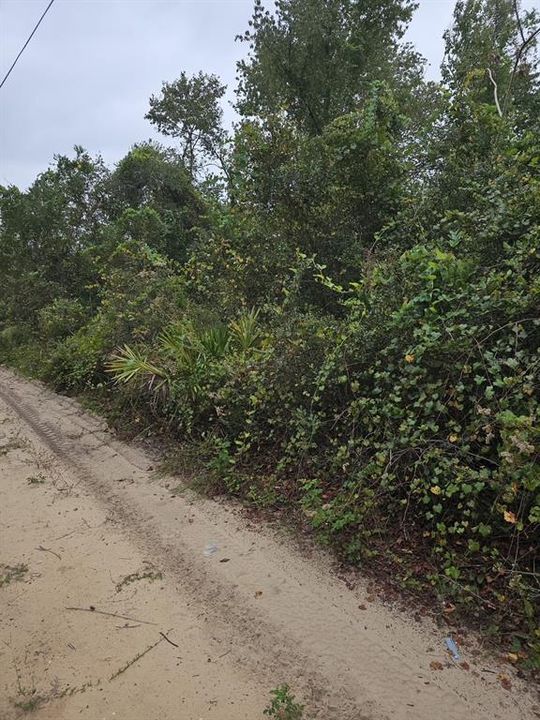 For Sale: $6,500 (0.19 acres)