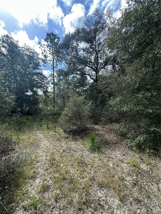 待售: $40,000 (1.05 acres)