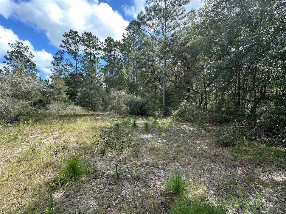 待售: $40,000 (1.05 acres)