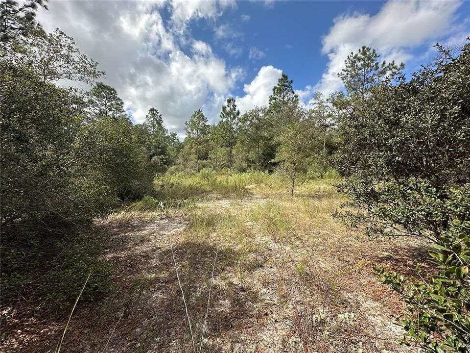 待售: $40,000 (1.05 acres)