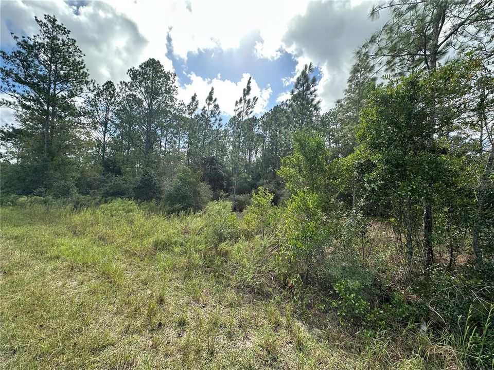 待售: $40,000 (1.05 acres)