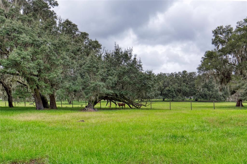 En Venta: $1,995,000 (3 camas, 2 baños, 3310 Pies cuadrados)