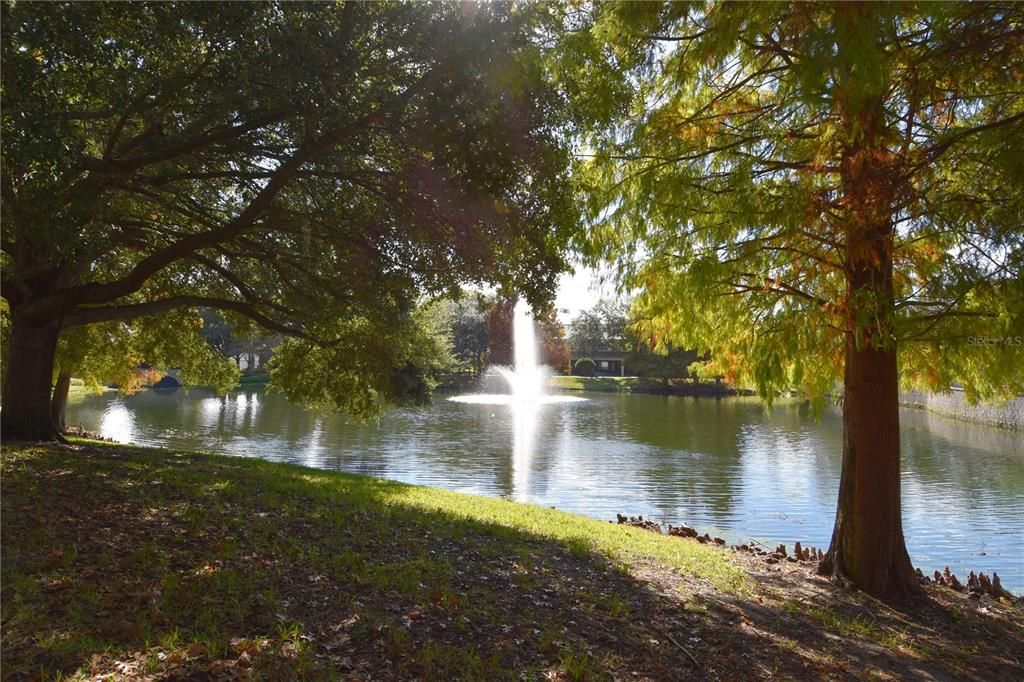 Activo con contrato: $294,000 (3 camas, 2 baños, 1438 Pies cuadrados)