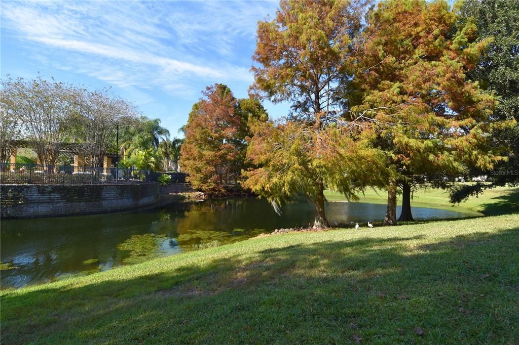 Activo con contrato: $294,000 (3 camas, 2 baños, 1438 Pies cuadrados)