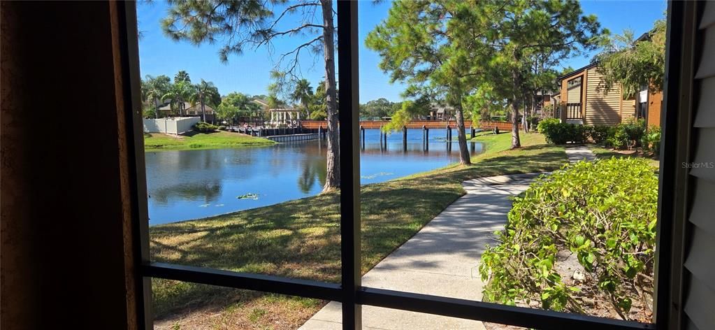 Под контрактом: $129,500 (1 спален, 1 ванн, 637 Квадратных фут)