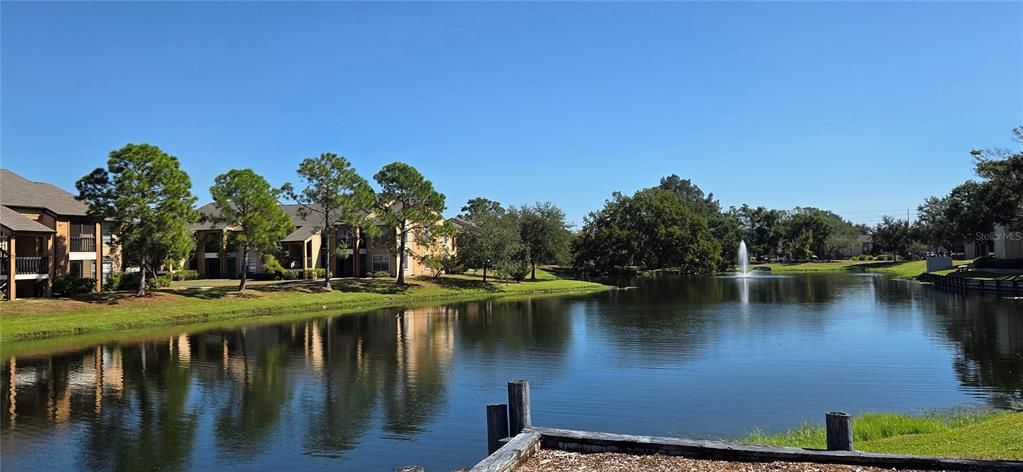 Под контрактом: $129,500 (1 спален, 1 ванн, 637 Квадратных фут)