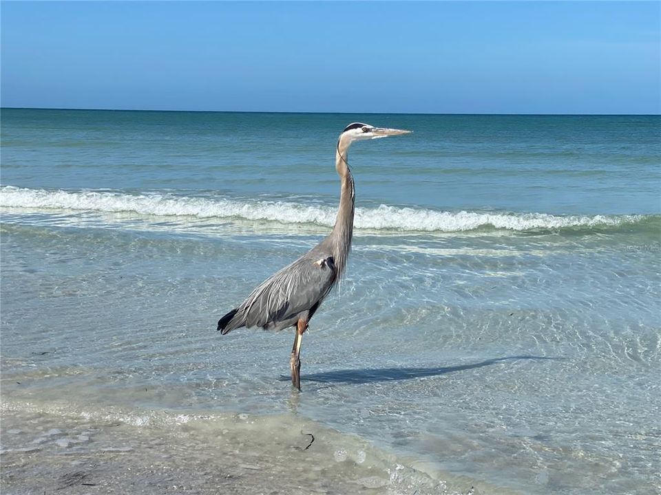 For Sale: $379,999 (2 beds, 2 baths, 1961 Square Feet)