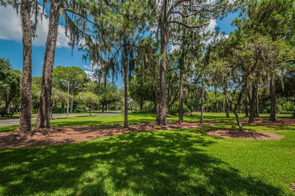 Activo con contrato: $785,000 (5 camas, 3 baños, 2986 Pies cuadrados)