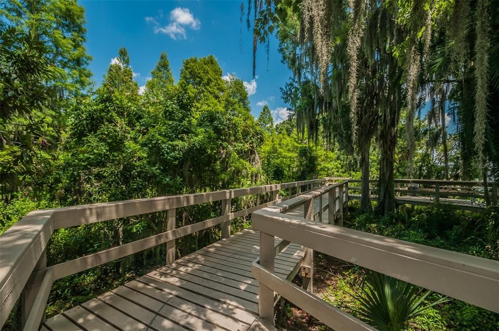 Activo con contrato: $785,000 (5 camas, 3 baños, 2986 Pies cuadrados)