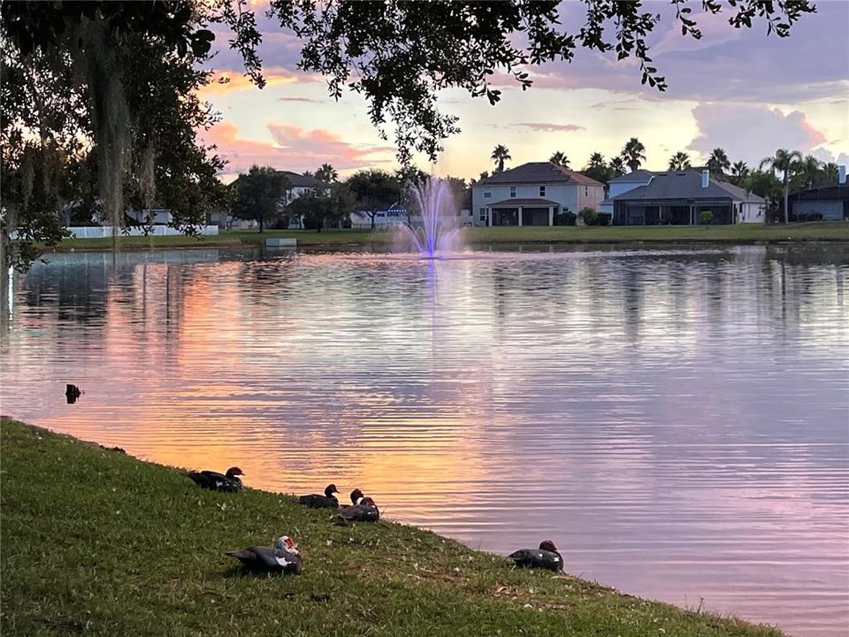 En Renta: $2,980 (5 camas, 3 baños, 2545 Pies cuadrados)