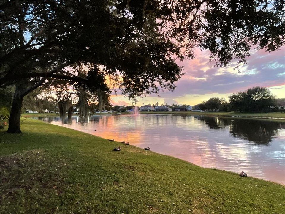 En Renta: $2,980 (5 camas, 3 baños, 2545 Pies cuadrados)