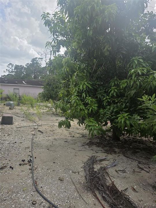 Active With Contract: $100,000 (2.65 acres)