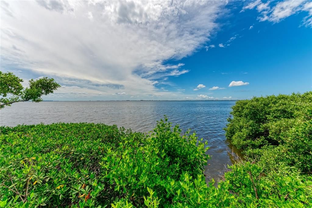 Под контрактом: $1,300,000 (3 спален, 2 ванн, 2493 Квадратных фут)