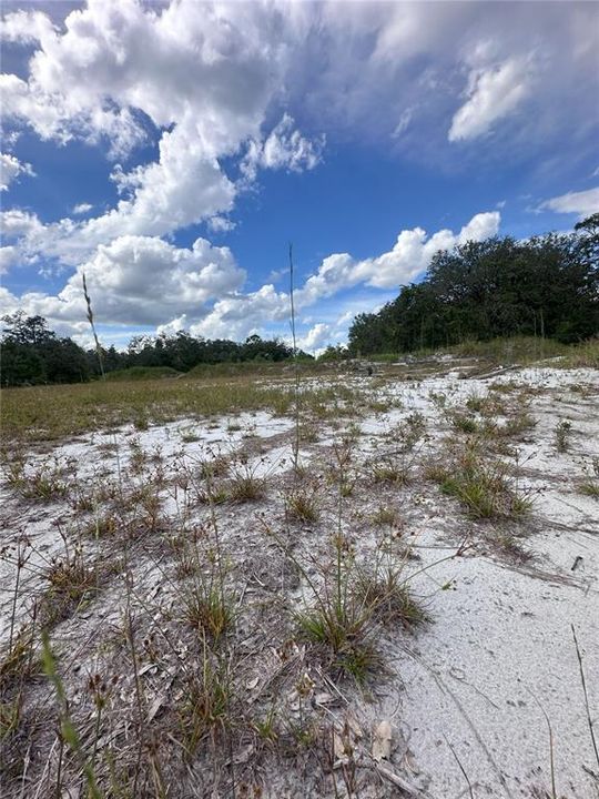 待售: $16,000 (0.18 acres)