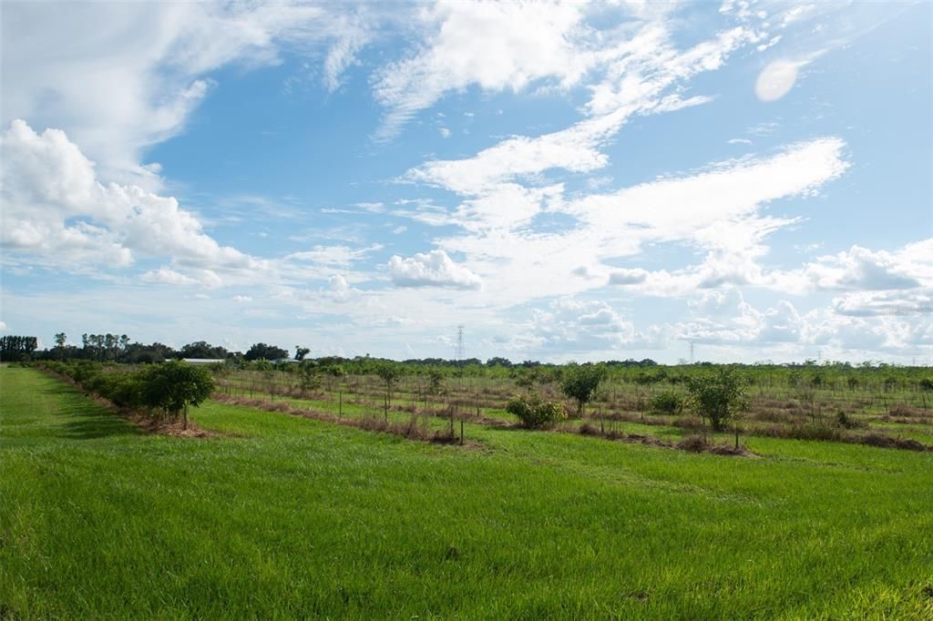 For Sale: $1,135,000 (22.70 acres)