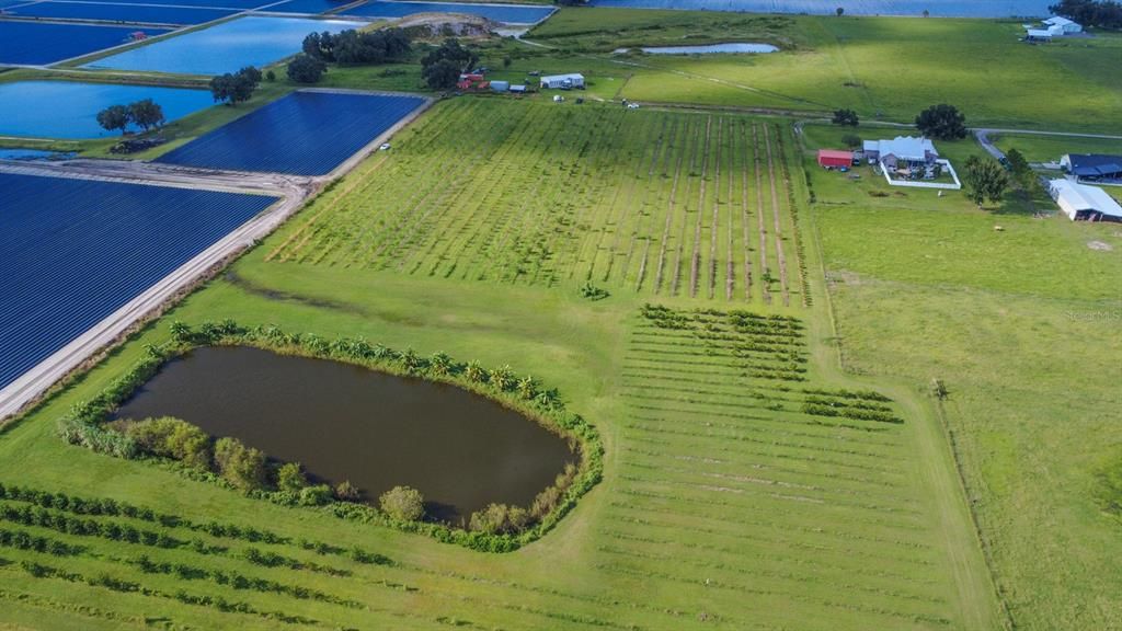 For Sale: $1,135,000 (22.70 acres)