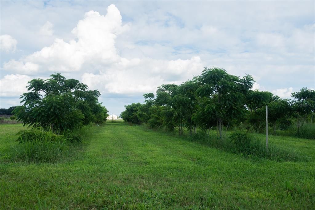 For Sale: $1,135,000 (22.70 acres)
