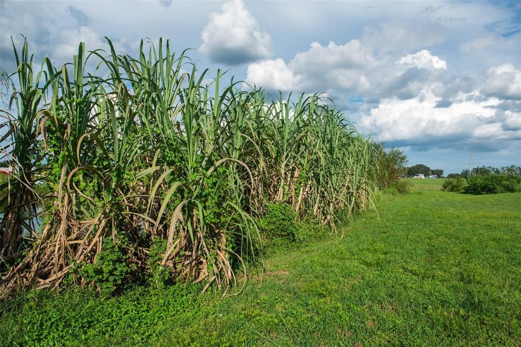 For Sale: $1,135,000 (22.70 acres)