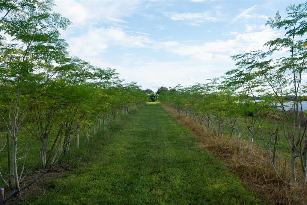 For Sale: $1,135,000 (22.70 acres)