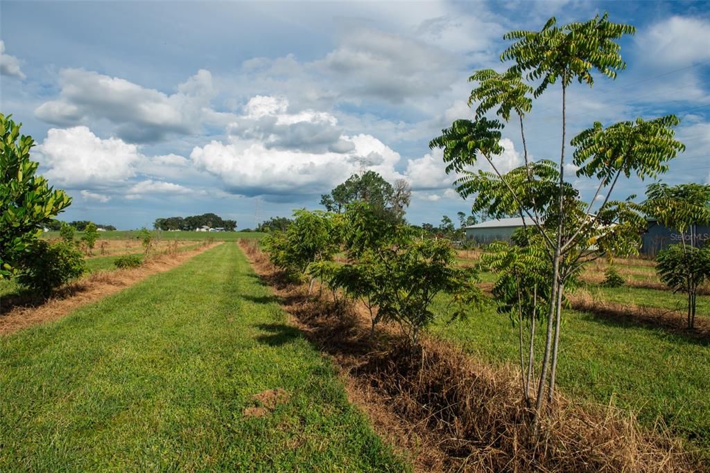 For Sale: $1,135,000 (22.70 acres)